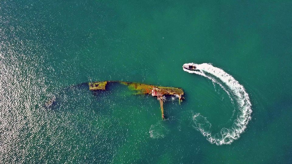 Puerto Madryn: 3-Hour Snorkeling Trip With Sea Lions - Experience Highlights