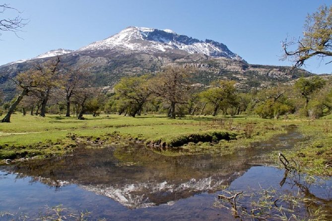 Puerto Natales: Balmaceda and Serrano Glacier Navigation - Positive Experiences Shared