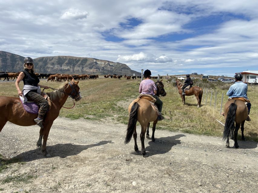 Puerto Natales: Horseback Riding With Horse Connection - Detailed Itinerary