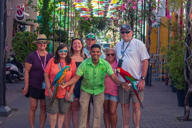 Puerto Plata City Tour - Tour Experience Highlights