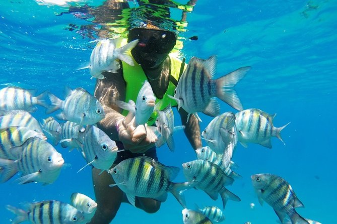 Puerto Plata Shore Excursion, Snorkeling Tour & Sosua Beach Day - Beach Relaxation