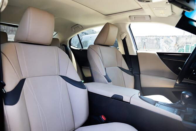 Puerto Rico Island Wide Transfer, Tesla Model X Luxury SUV. - Booking Process Details
