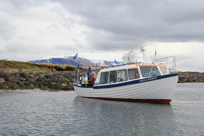 Puffin Cruise With Expert Tour Guide From Reykjavik - Engaging Puffin Commentary From Guides