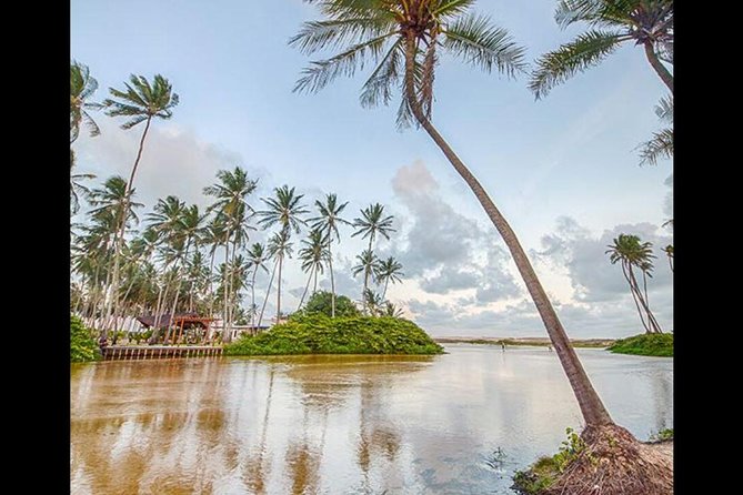 Punaú Tour Bar - Departing From Natal - Tips for a Great Experience