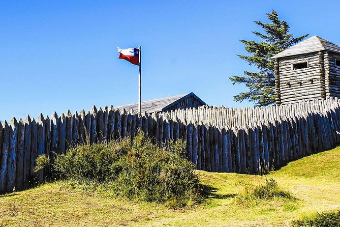 Punta Arenas and Magellan Strait Tour - Tour Experience and Guides