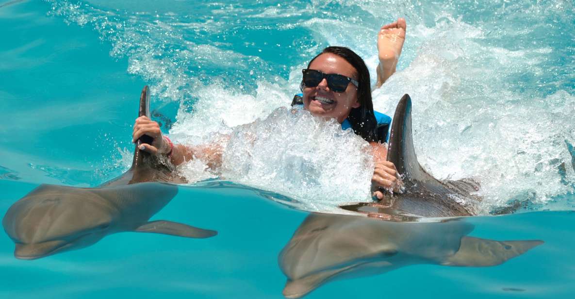 Punta Cana: Dolphin Discovery Swims and Encounters - Dolphin Encounters and Handshakes