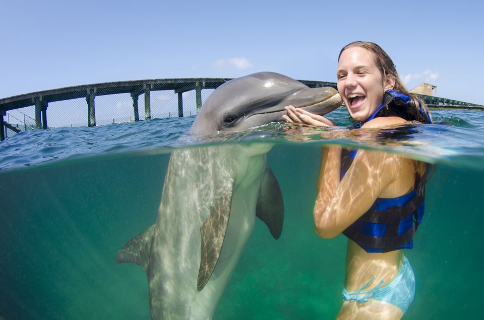 Punta Cana: Dolphin Explorer Swims and Interactions - Excellence Swim Package