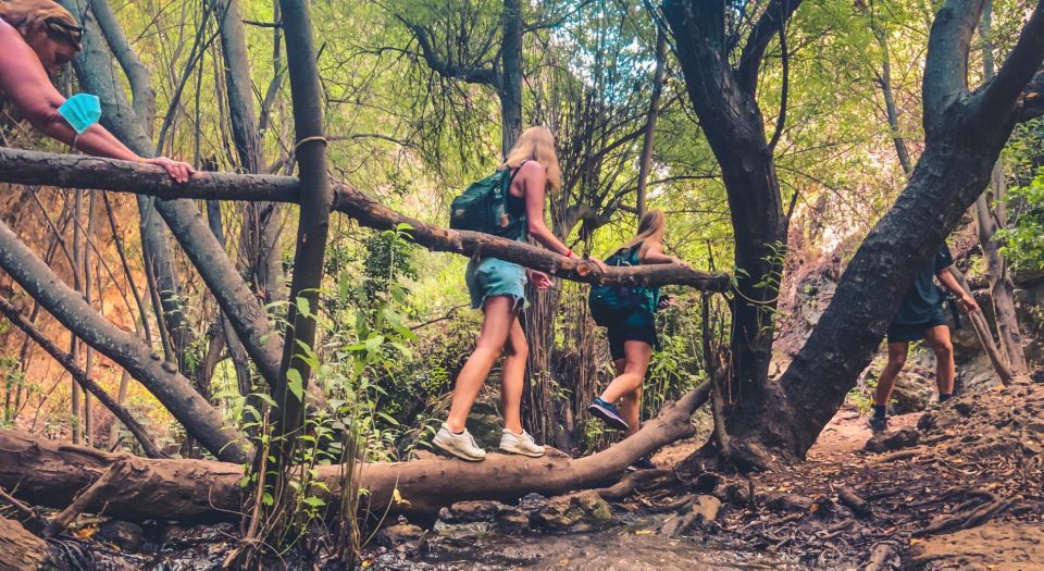 Punta Cana: Hike in Los Haitises & Kayak in Mangroves - Discovering Medicinal Plants of the Rainforest