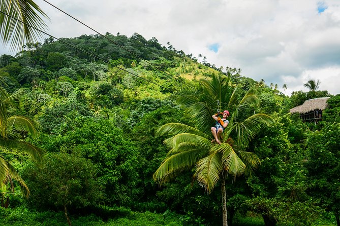 Punta Cana Monkeyland and Zipline Two Adventures in One Day - Booking and Cancellation Policies