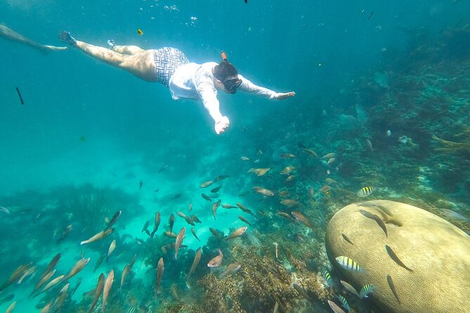 Punta Cana Private Cruise up to 10 Snorkeling & Seafood Lunch - Seafood Lunch Details