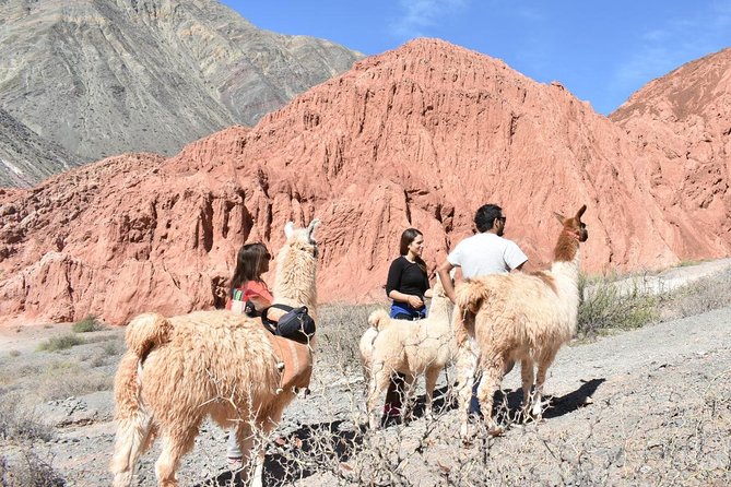 Purmamarca Walk With Llamas - What to Bring