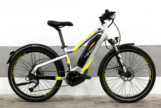 Quality E-Bike Rental in Rome - Child Safety Accommodations
