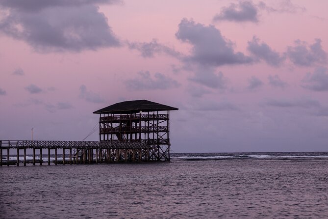 Quality Surfing Lessons in Siargao Island - Operating Hours and Availability