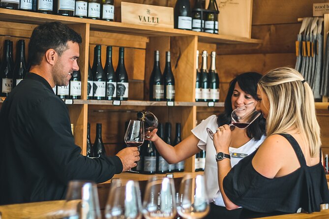 Queenstown Classic Wine Tour: 3 Vineyards, Caves and Cheeseboard - Wine Tasting Experiences