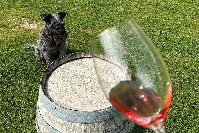 Queenstown Wine Tour With Wine Dog | Adults Only - Meet Your Guides