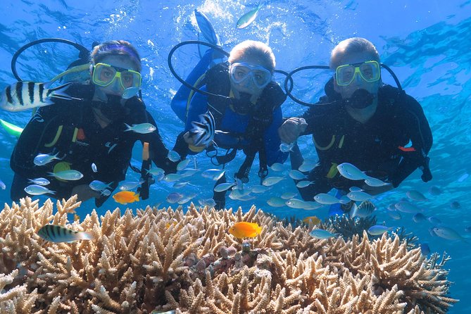 Quicksilver Great Barrier Reef Snorkel Cruise From Port Douglas - Included Amenities