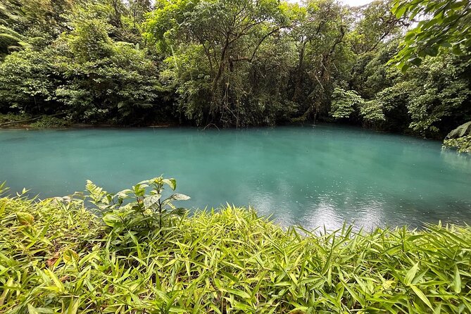 Rain Forest Hike: Rio Celeste Waterfall, Sloth & Butterfly Farm - Whats Included