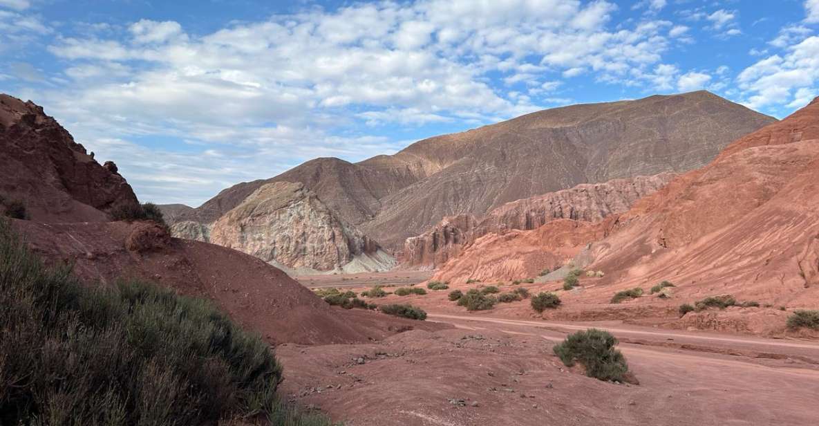 Rainbow Valley Tour + Petroglyphs (Yerbas Buenas) - Highlights of the Experience