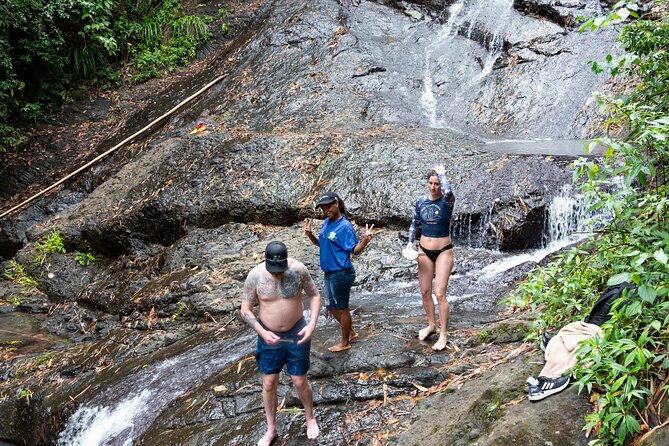 Rainforest Hike and Waterfall Safari - Discovering the Lush Forest Trails