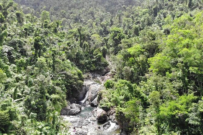 Rainforest River Nature Walk Adventure and Luquillo Beach - Highlights of the Adventure