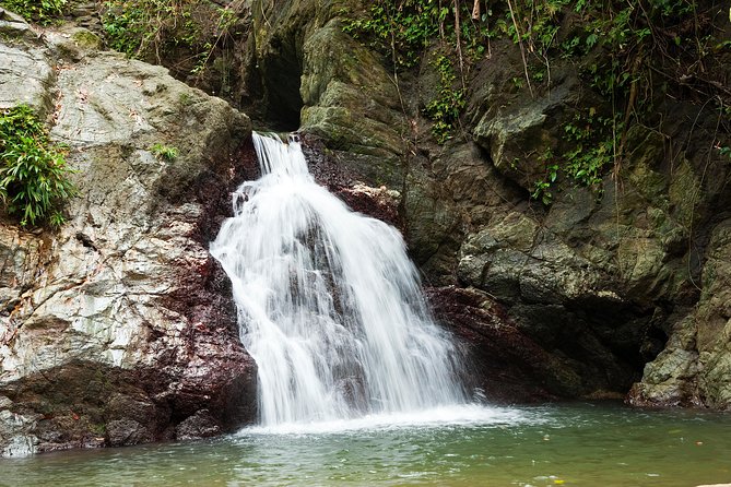 Rainforest Tour - Health and Safety Guidelines