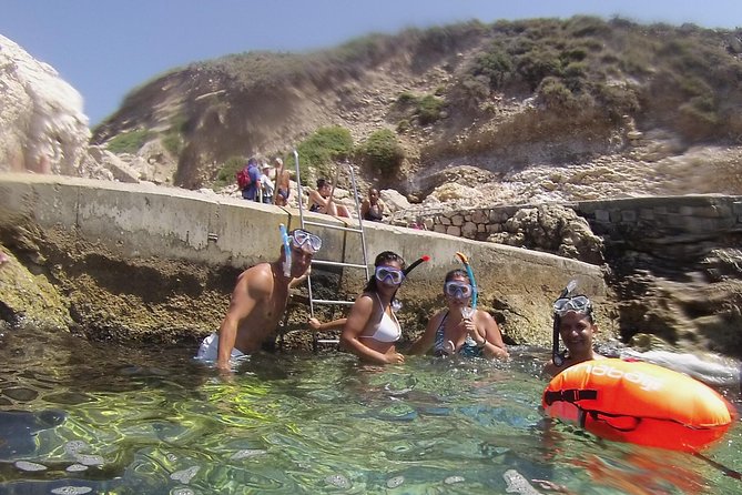 Rando-Palmé Getaway Around an Island - Snorkeling Highlights and Marine Life