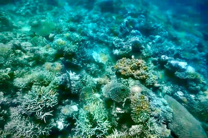 Rangko Cave & Beach Snorkeling Half Day Sharing Trip Labuan Bajo - Policies and Restrictions
