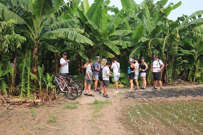 Red River Island Biking Expelore, Backroad, Rural Villages Farm - Hotel Pickup and Transportation