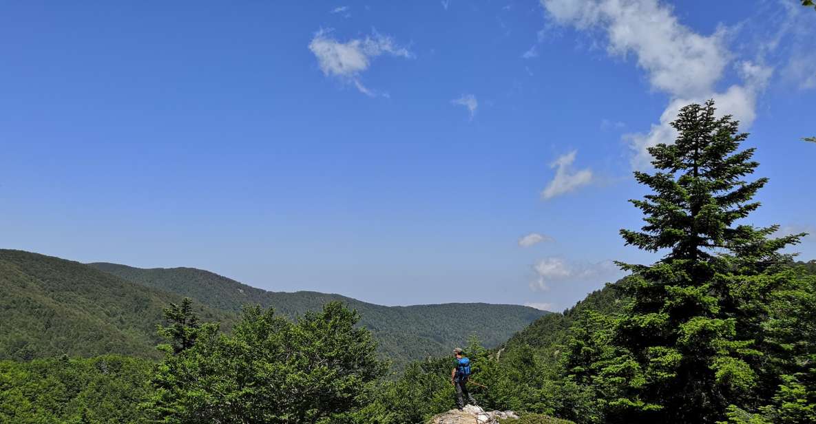 Reggio Calabria: Aspromonte Trails Trek to Montalto Summit - Statue of Christ the Redeemer