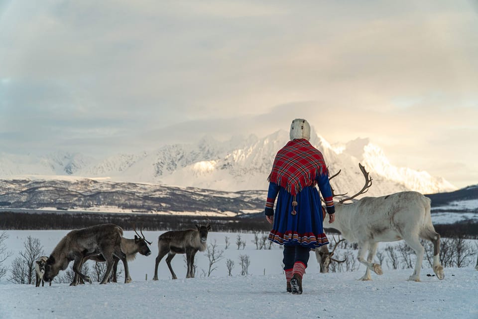 Reindeer Feeding and Sami Experience With Lunch - Transportation Details