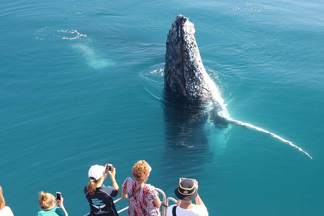 Remote Kgari (Fraser Island) & Whale Experience - Tour Schedule and Requirements