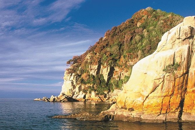 Remote Marine Reserve - Guided Kayaking - New Zealand - Booking and Cancellation Policy