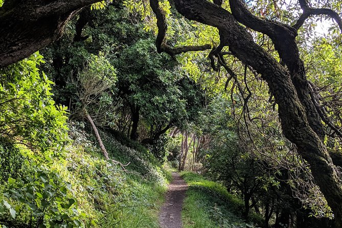Remutaka Rail Trail Mountain Bike Explorer Cycle Tour - Health and Safety