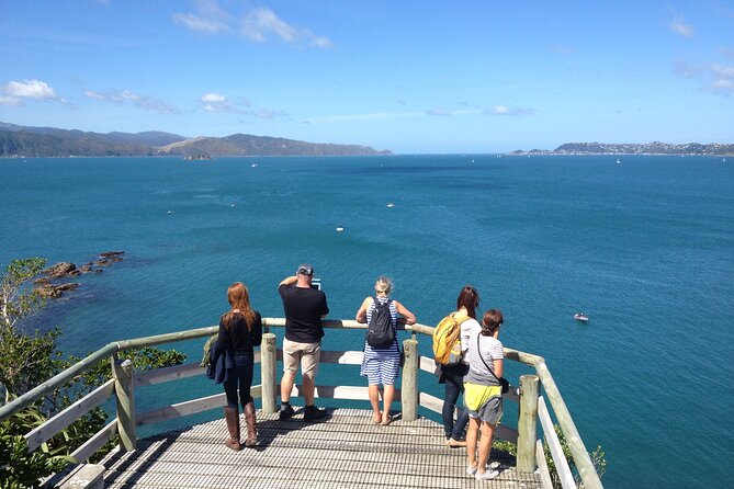 Return Ferry Trip to MāTiu/Somes Island - Accessibility Features