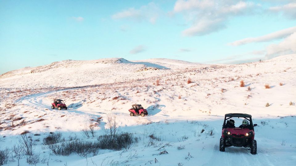 Reykjavik: Buggy Safari Tour With Hotel Transfers - Highlights of the Tour