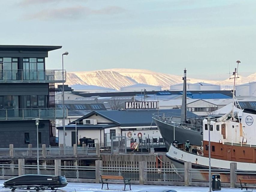 Reykjavik Food Tour in the Old Harbor - BiteSizedIceland.com - Experience Highlights