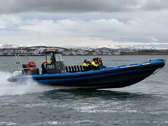 Reykjavik: RIB Boat Adventure From Kópavogur Harbor - Detailed Itinerary