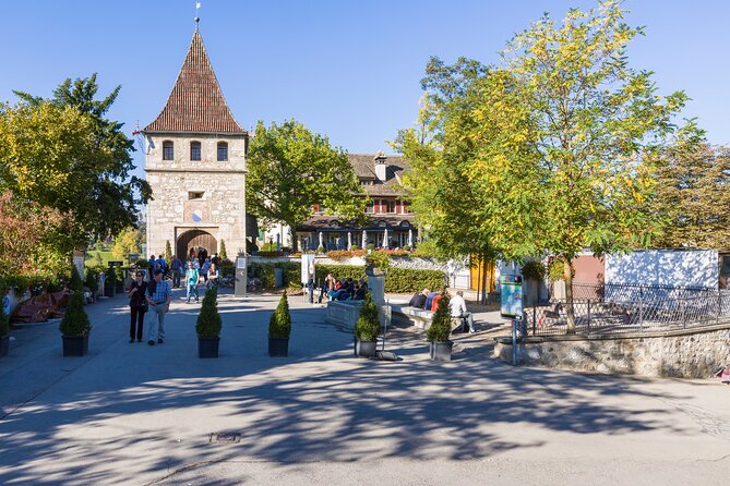 Rhine Falls Coach Tour From Zurich - Exploring Rhine Falls