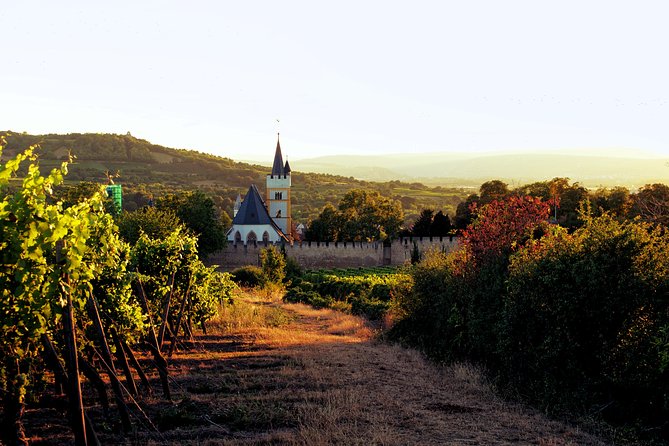 Rhine Valley Wine Tasting Tour From Frankfurt and Mainz - Savor the Cheese Plate