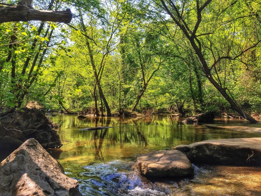 Richmond: Guided Hike in James River Park - Booking and Pricing