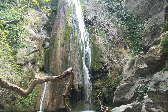 Richtis Waterfall, Minoan History, Oldest Tree, North Coast (Luxury Adventure) - Visiting the Oldest Tree in Crete