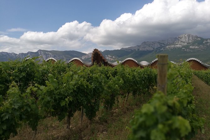 Rioja Wine Private Tour From San Sebastian - Schedule and Timing