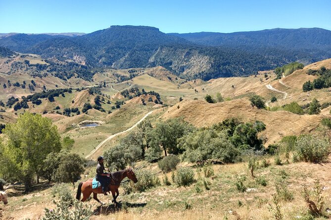 River Valley Stables - Burn The Breeze, Half Day Horse Ride For Riders - Feedback From Previous Riders