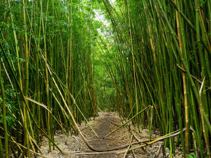 Road To Hana: Driving Tour - Discovering the Highlights