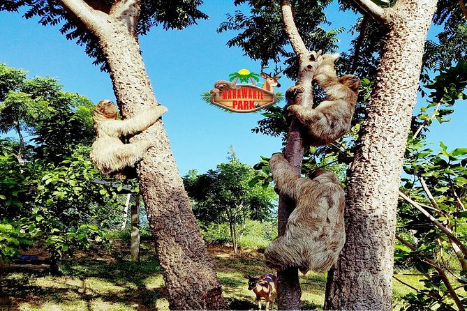 Roatan Wildlife Sustainable Safari~ATV Dune Buggy Beach Adventure - Safety Guidelines