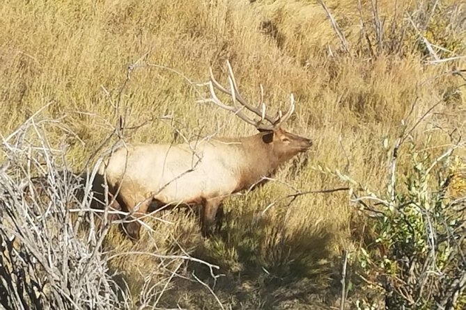 Rocky Mountain National Park and Estes Park Tour From Denver Winter and Spring - Included Amenities