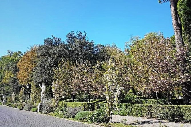 Rome: Vatican Museums and Gardens Private Tour - Pick up Included - Exploring the Vatican Gardens