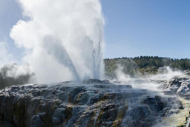 Rotorua Day Trip From Auckland With Options - Smaller Groups - Transportation Options