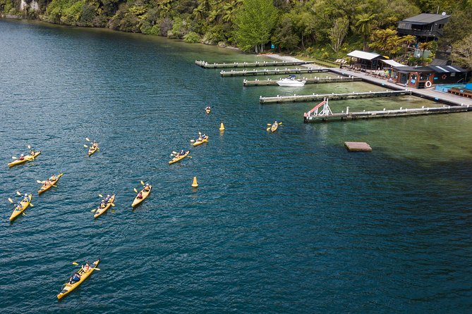 Rotorua: Daytime Scenic Lake Rotoiti Kayak Tour - Important Information