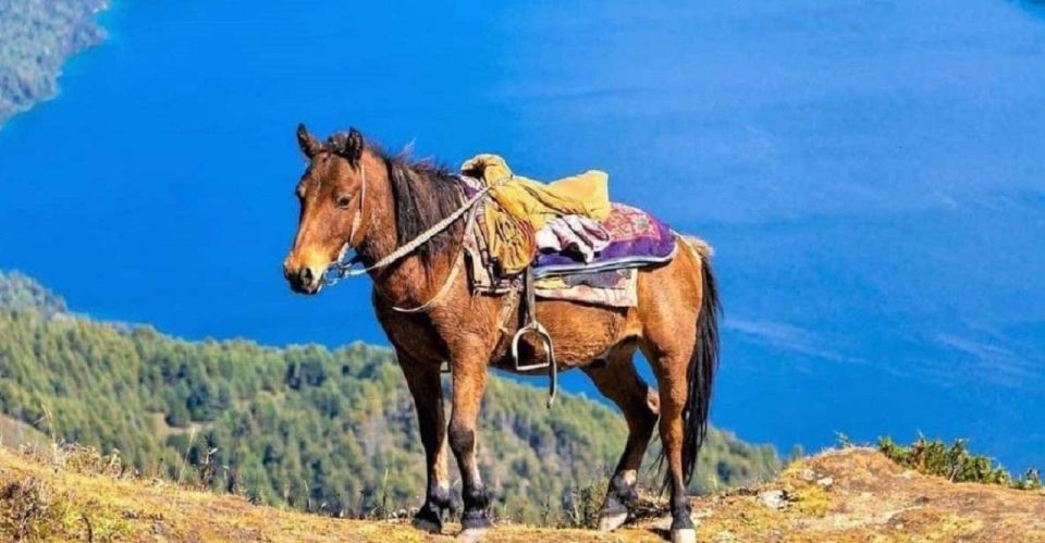 Saddle Up for a 1-Hour Horseback Riding Adventure in Pokhara - Scenic Highlights